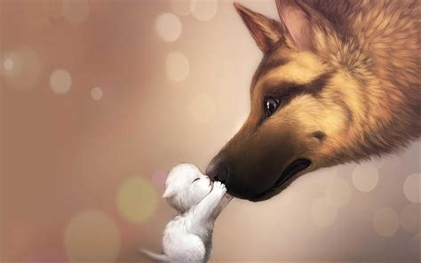 cute animal photo anime 1