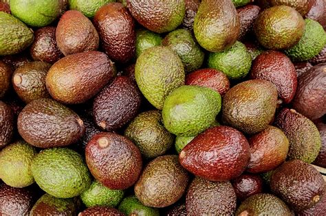 avocados exotic fruit farmers  photo  pixabay