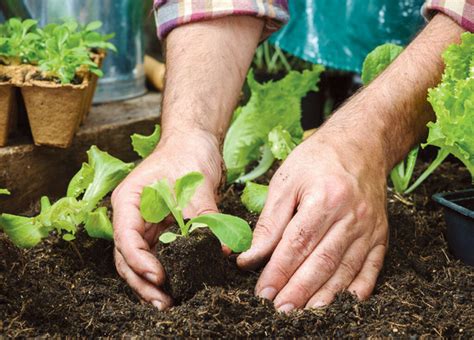 how to add compost to existing garden