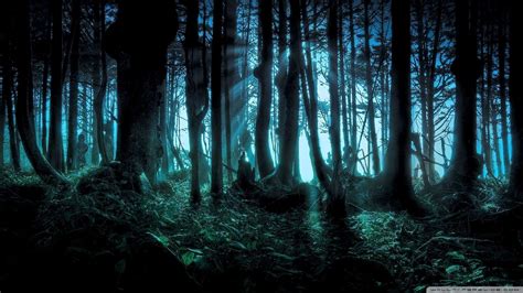 dark wallpaper  wallpaper