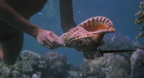 The-Blue-Lagoon-0148