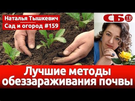 Лучшие методы обеззараживания почвы - YouTube