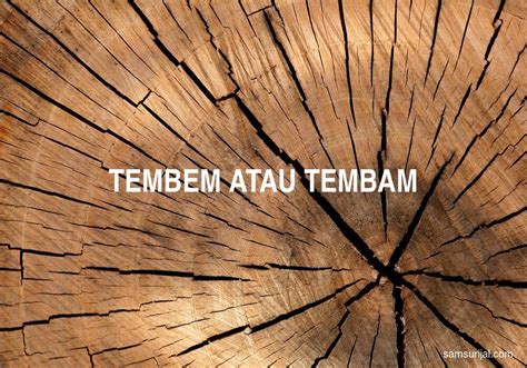 Tembem atau Tembam? - Kamus Besar Bahasa Indonesia (KBBI) - Samsurijal.com
