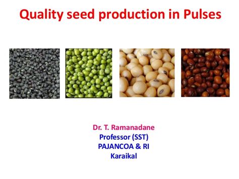 Quality Seed Production in Pulses