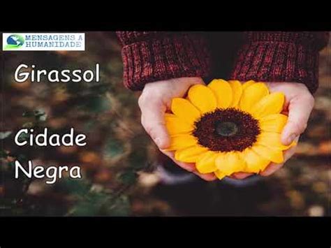 Cidade Negra Girassol Letra - Girassol - Cidade Negra Letra - YouTube