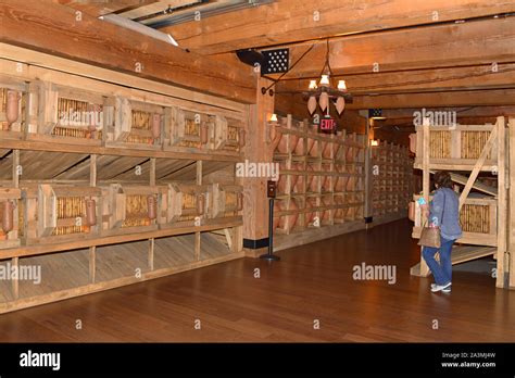 Inside noah's ark hi-res stock photography and images - Alamy