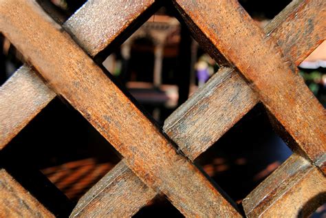 cloistered heart revisiting  grille