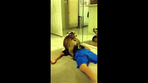 DOG HUMPS KID!!! - YouTube