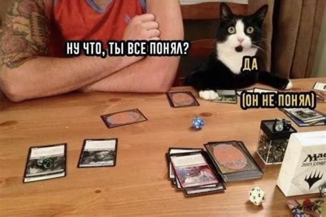 Молодой Господин on Twitter: "Я постоянно"