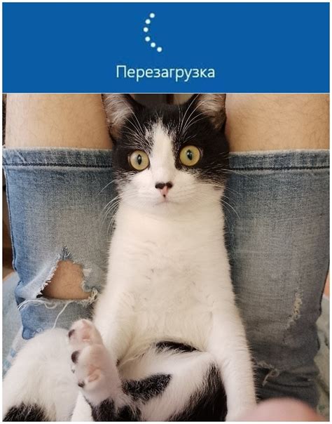 Перезагрузка | Пикабу