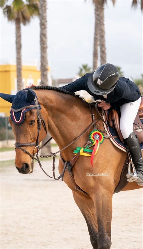 Pin von Olivia auf Horses | Niedliche pferde, Hübsche pferde, Pferdefotos