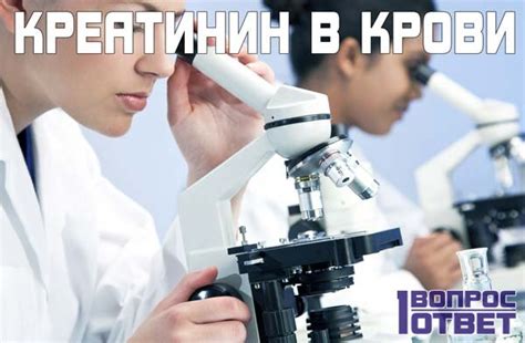 Креатинин в крови: что это такое? Чем опасен повышенное или пониженное ...