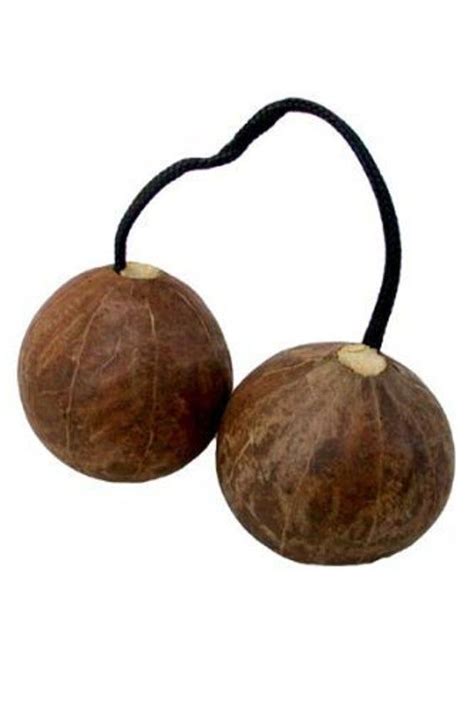 Aslatua Double Shaker by Africa Heartwood Project in 2021 | Percussion ...