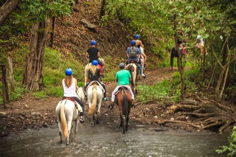 Horseback Riding Tours Near Me