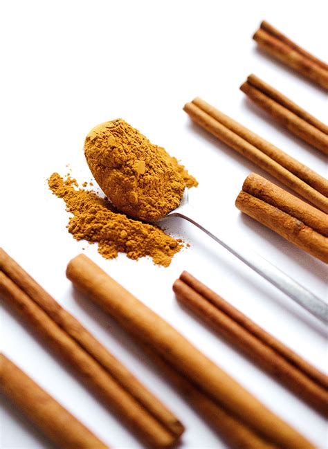 Are Dogs Allowed To Eat Cinnamon