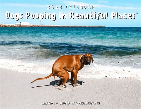Dogs Pooping in Beautiful Places 2023 Calendar Funny Wall - Etsy Australia