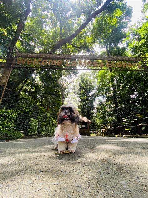 Angelica Octavio Campos