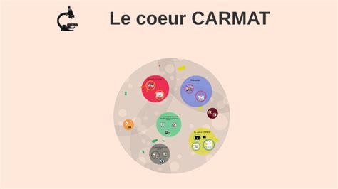 coeur carmat  felix michel