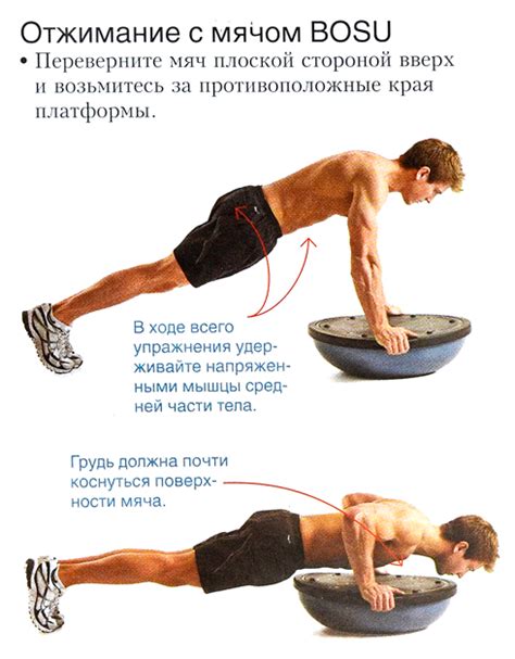 Виды отжимания (техника) — SportWiki энциклопедия
