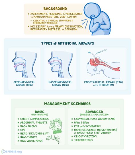Types Of Airways For Intubation at Martha Presnell blog