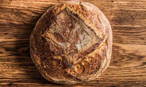 Should Sourdough Starter be Used at its Peak? - Hummingbird Acres