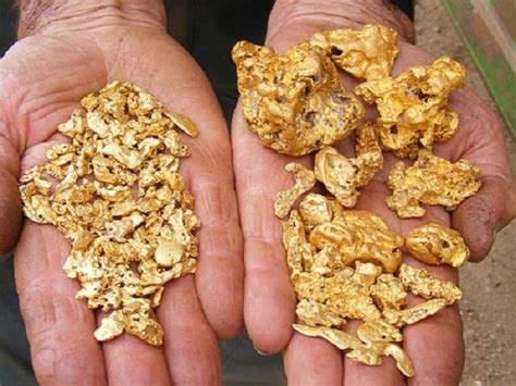 Vàng sa khoáng là gì? Tìm vàng sa khoáng hiệu quả hơn với máy dò vàng