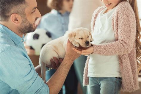 Puppy Visit: What to Expect During Your First Vet Visit in Dubai