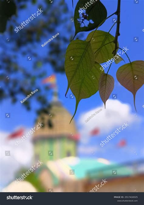 puri temple hd  images pictures shutterstock