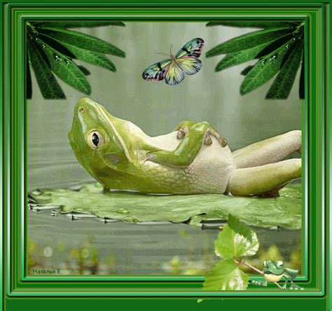 ЛЯГУШКА И ЗАЯЦ [Владимир Шебзухов] | Романтическая Коллекция - Romantic ...