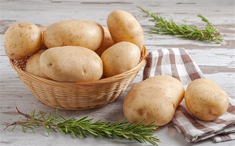 Comer Batata Crua É Bom Para O Estômago