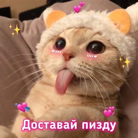 мемы про отлиз и не только | ВКонтакте