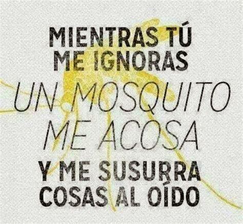 1000+ images about Chistes on Pinterest