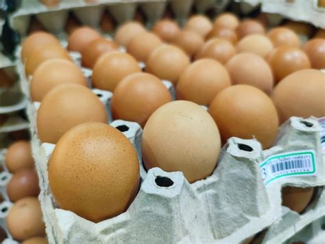 Imagen de huevos de gallina en el supermercado | Foto Premium