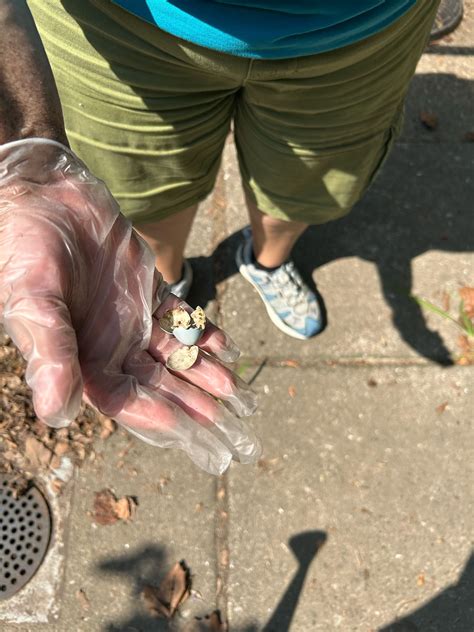 Park Terrace Rehabilitation Center