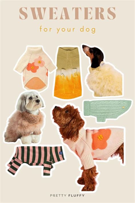 Top Dog Sweater Trends for Your Fashion-Forward Pooch | Dog trends, Dog ...