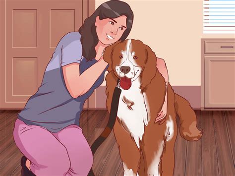 3 Ways to Stop a Dog from Pulling on Its Leash - wikiHow