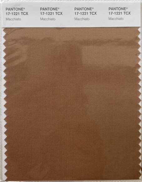 pantone tcx cotton swatch card   tcx macchiato