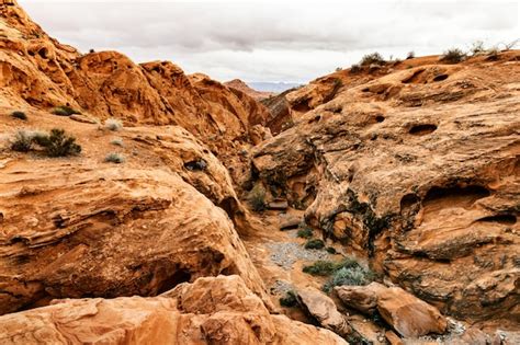 Premium Photo | Landscape of scenic desert at southern nevada, usa