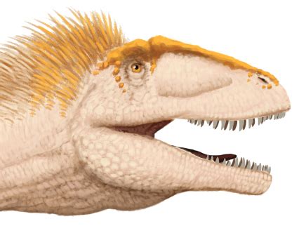 Datanglong – Encyklopedia Dinozaury.com