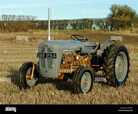 ferguson grey gold fe  tractor stock photo alamy