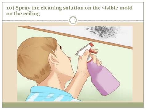 Mold Remediation - Process of Eliminating Black Mold