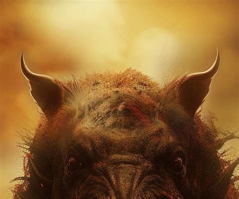 image gallery  feral filmaffinity