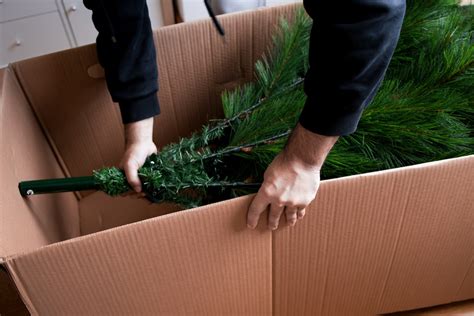 Que Dia Desmontar A Arvore De Natal - Hoje, dia 6, é dia de desmontar a árvore de Natal; saiba por que - Estadão
