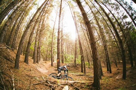mountain bike trails  victoria flow mountain bike
