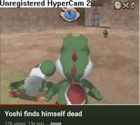 Yozh found a ded Yozh : r/Spunchbob