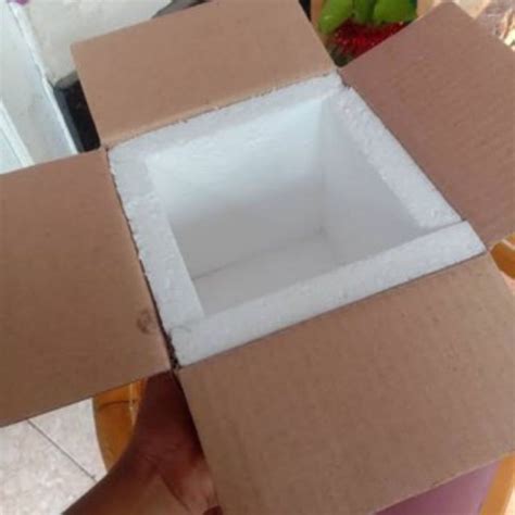 Jual box packing ( khusus untuk Guppy cendolan ) | Shopee Indonesia