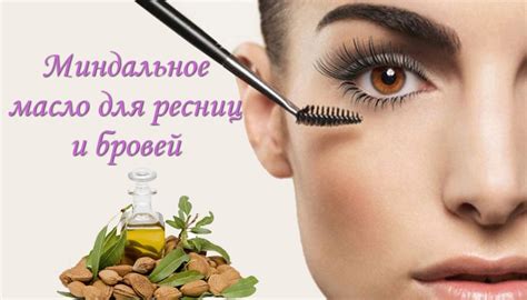 Миндальное масло для бровей – BorodaDeda.ru