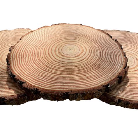 set      wood slices  centerpieces wood slice