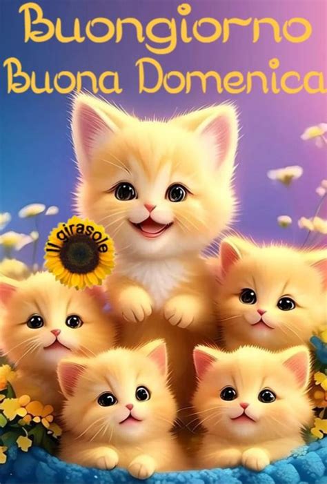 Buona Domenica | Foto di animali divertenti, Immagini di gatti ...
