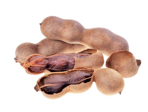 Tamarind Pods Tamarindus Indica Fruits, Pile of, Isolated on White ...